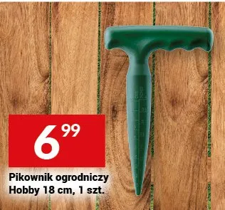 Pikownik ogrodniczy promocja w Twój Market