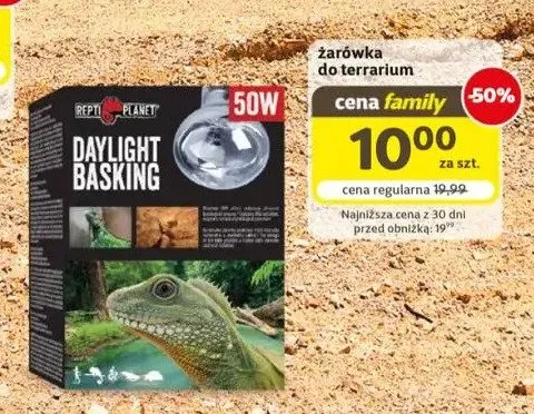 Żarówka do terrarium Repti Planet Daylight Basking 50W promocja w Super Zoo