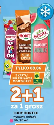 Lody Hortex promocja w Groszek