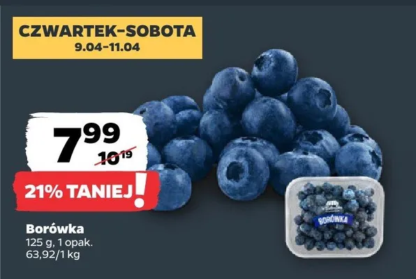 Borówka promocja w Netto