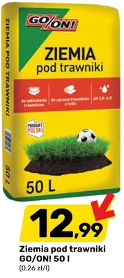 Ziemia pod trawniki 50 l promocja w Bricomarche