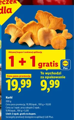 Kurki promocja w Lidl