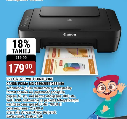 Urządzenie wielofunkcyjne Canon Pixma Mg 2551 promocja w bi1