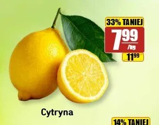 Cytryna promocja w API Market