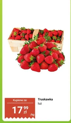 Truskawka Dino promocja w Dino