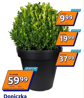 Doniczka Ø40cm promocja w Action