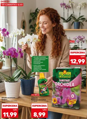 Substrát Orchidea promocja w Kaufland