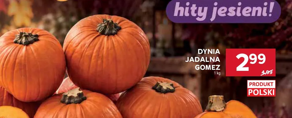 Dynia jadalna Gomez promocja w Stokrotka
