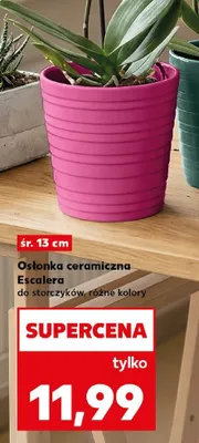 Osłonka ceramiczna Escalera do storczyków promocja w Kaufland
