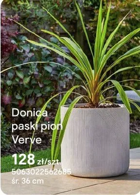 Donica paski pion Verve promocja w Castorama