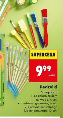 Pędzelki z włosia naturalnego LOOZZ 10 szt. promocja w Biedronka