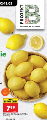 Cytryna Go Bio promocja w Biedronka