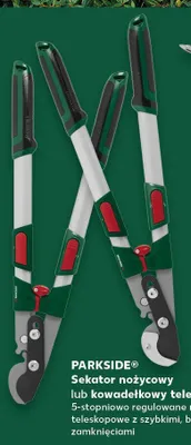 Sekator kowadełkowy teleskopowy promocja w Kaufland