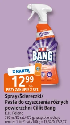 Spray do czyszczenia różnych powierzchni Expert promocja w Leclerc