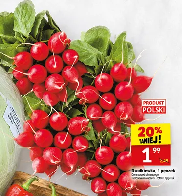 Rzodkiewka promocja w Twój Market