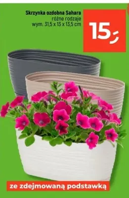 Skrzynka ozdobna Sahara różne rodzaje promocja w Dealz