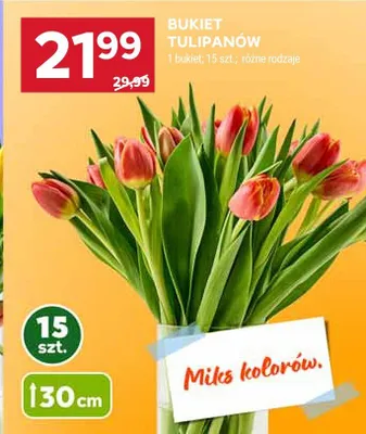Bukiet tulipanów 15 szt. promocja w Stokrotka