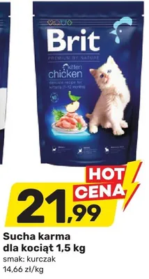 Sucha karma dla kociąt 1,5kg smak: kurczak promocja w Bricomarche