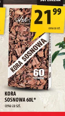 Kora sosnowa 60 l promocja w Arhelan