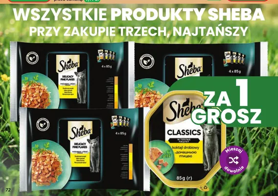 Karma dla kota Sheba Classics koktajl drobiowy promocja w Dino