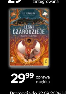 Książka Leśni czarodzieje Miasto tajemnic oprawa miękka Wilga promocja w Empik