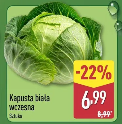 Kapusta biała wczesna Aldi promocja w Aldi