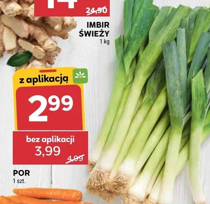 Imbir świeży promocja w Stokrotka