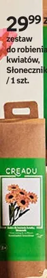 Zestaw do robienia kwiatów, Słonecznik promocja w Empik