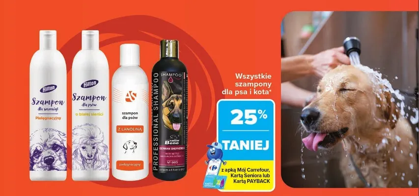 Szampon dla psów AS z lanoliną promocja w Carrefour