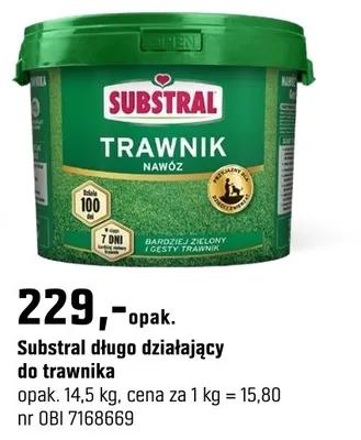 Katalog Ogród, strona 174 promocja w OBI
