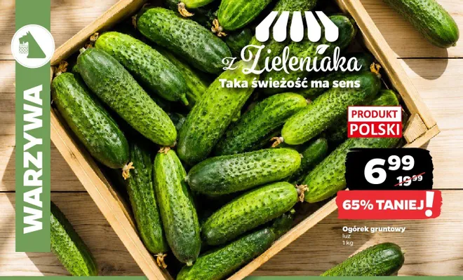Ogórek gruntowy luz polski promocja w Netto