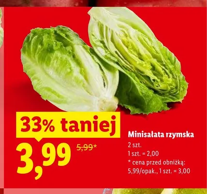 Minisałata rzymska 2-pak promocja w Lidl