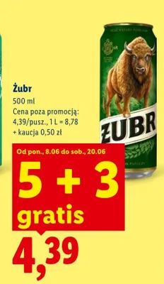 Piwo Żubr promocja w Lidl