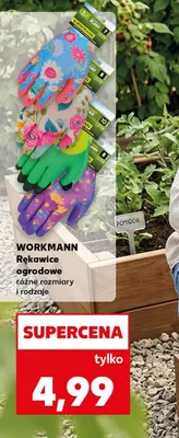 Rękawice ogrodowe Workmann promocja w Kaufland