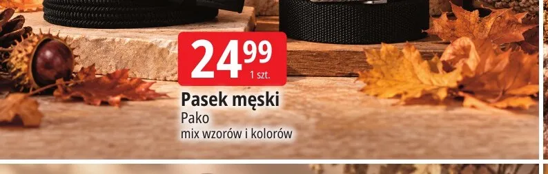 Pasek męski Pako promocja w Leclerc