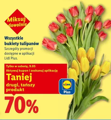 Bukiet tulipanów promocja w Lidl