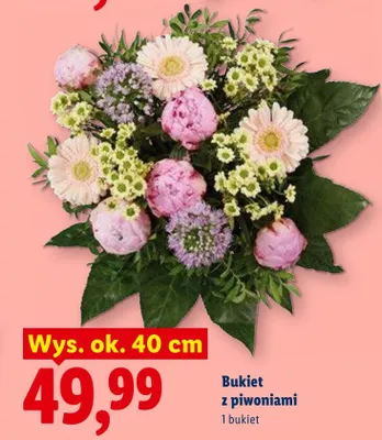 Bukiet z piwoniami wys. ok. 40cm promocja w Lidl