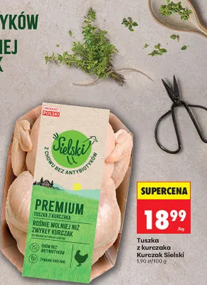Tuszka z kurczaka Premium promocja w Biedronka