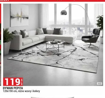 Dywan Pepita 120x190 cm promocja w Merkury Market