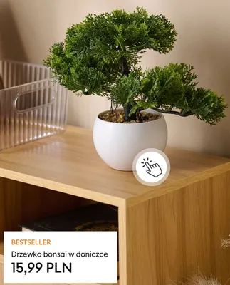 Drzewko bonsai w doniczce promocja w Sinsay