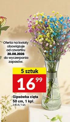 Gipsówka cięta promocja w Twój Market