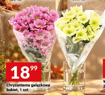 Chryzantema gałązkowa bukiet promocja w Twój Market