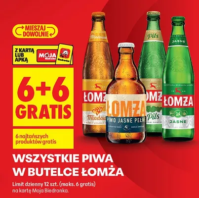 Piwo promocja w Biedronka