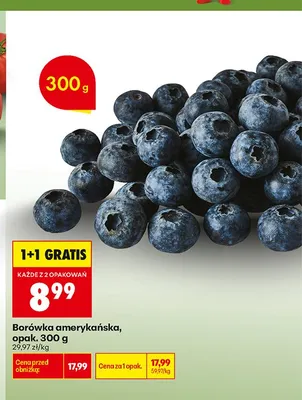 Borówka amerykańska promocja w Biedronka