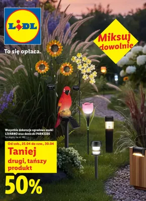 Katalog, strona 61 promocja w Lidl