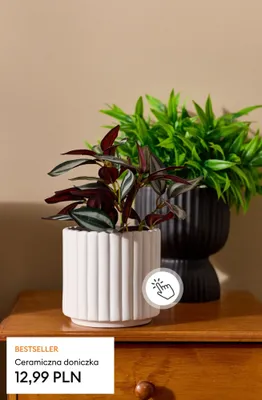 Ceramiczna doniczka promocja w Sinsay