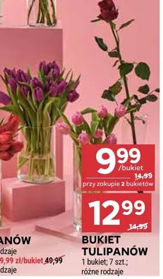 Bukiet tulipanów promocja w Stokrotka