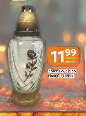 Znicz Lw Z-536 róża Ciecierski promocja w Gama