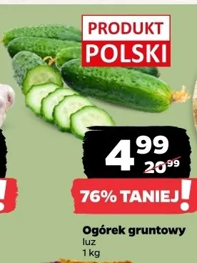 Ogórek gruntowy promocja w Netto