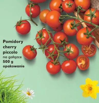 Pomidory cherry piccolo na gałązce promocja w Kaufland